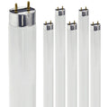 24 Inch T8 Fluorescent Tube Light Bulb 17W 5000K 1230 Lumen G13 Bi-Pin Base Pack of 6 V117