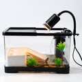 Acrylic Aquarium Starter Kit with UVB/UVA Lamp, Filter, Basking Platform & Lid R3647
