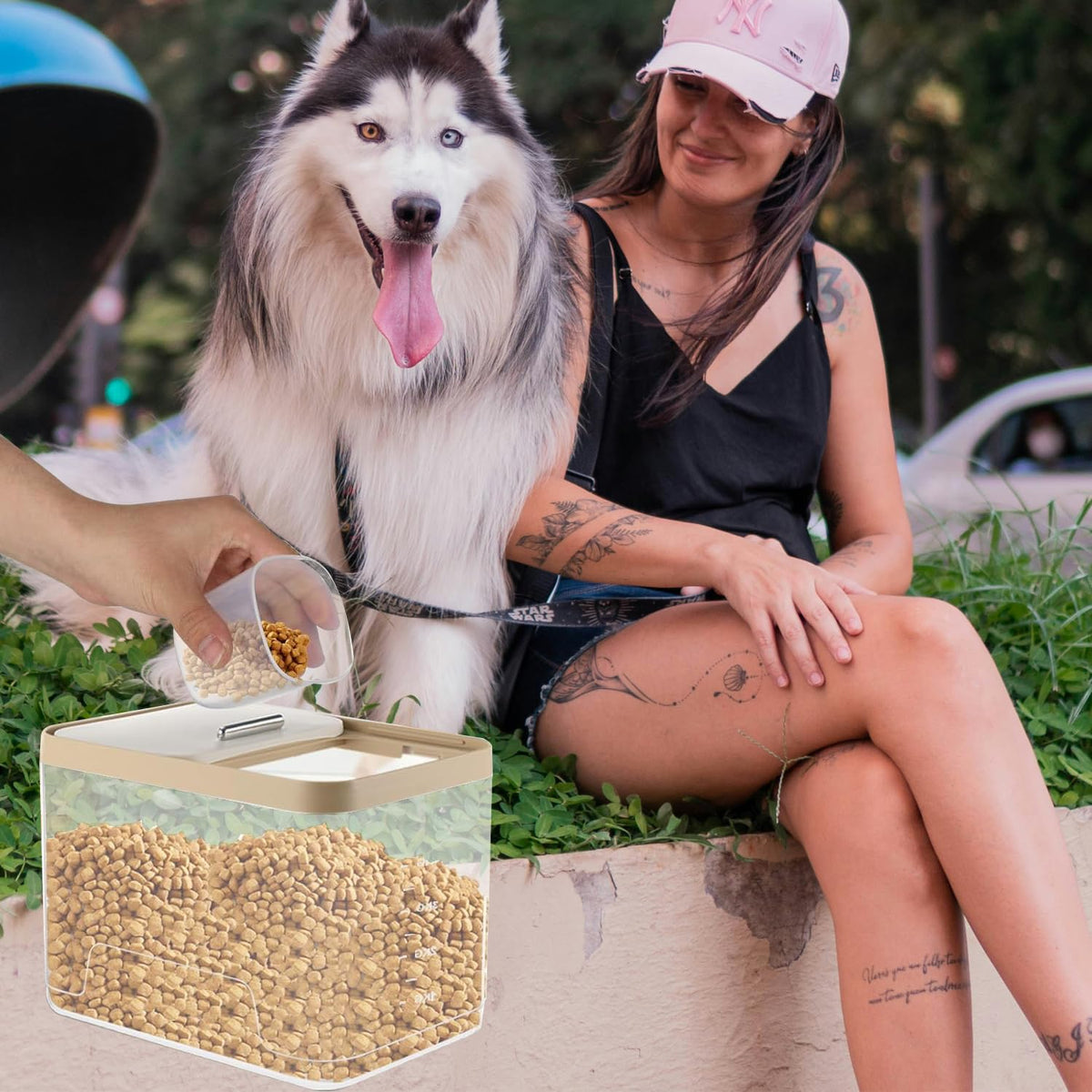 2 Pack 10 lb Clear Airtight Pet Food Storage Container L59287