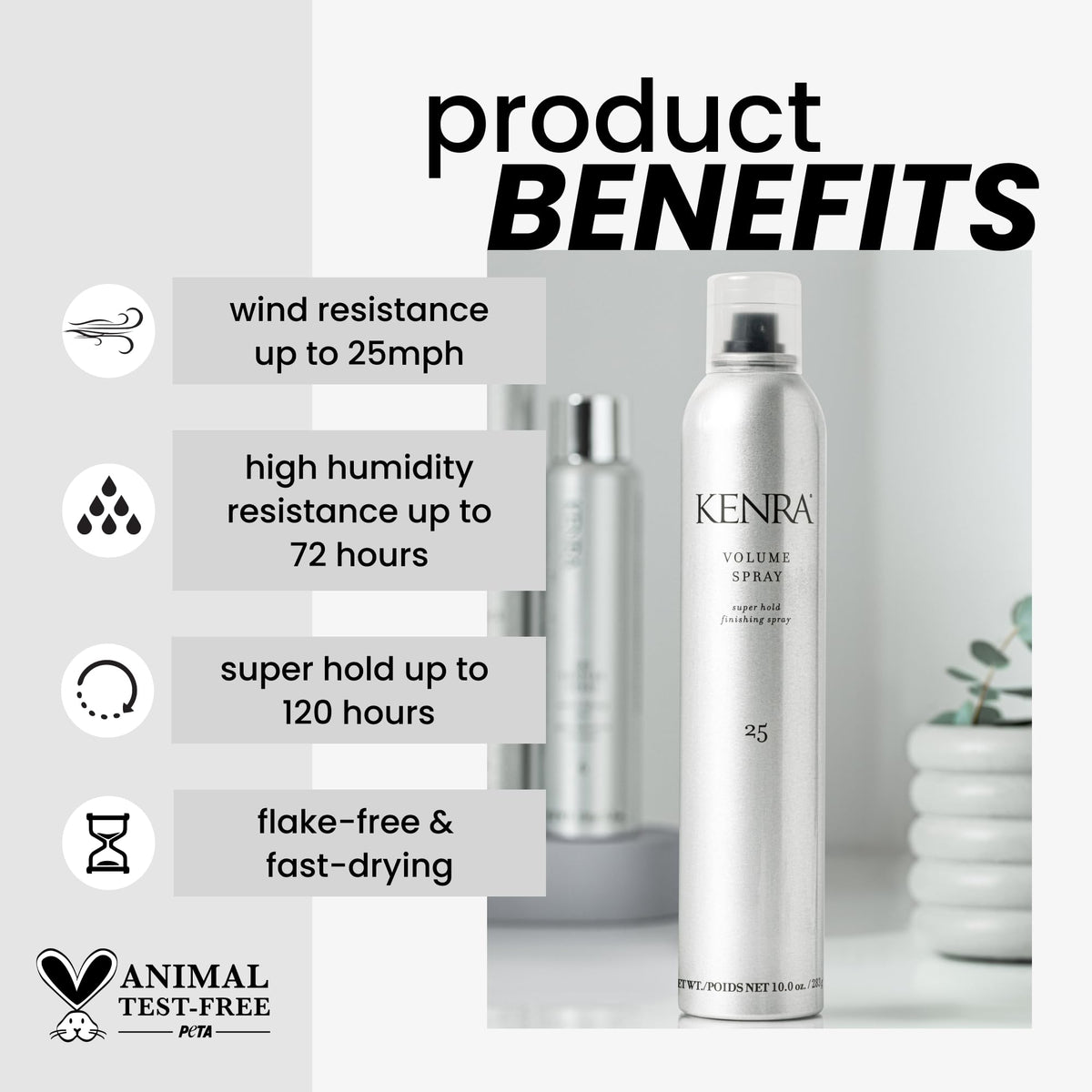 10 oz 2-Pack Hairspray G324
