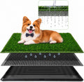 3 Layer Dog Grass Pad with Tray 30" x 20" I964068