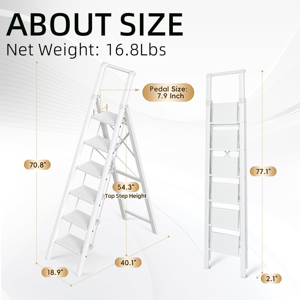 6 Step Ladder Y632