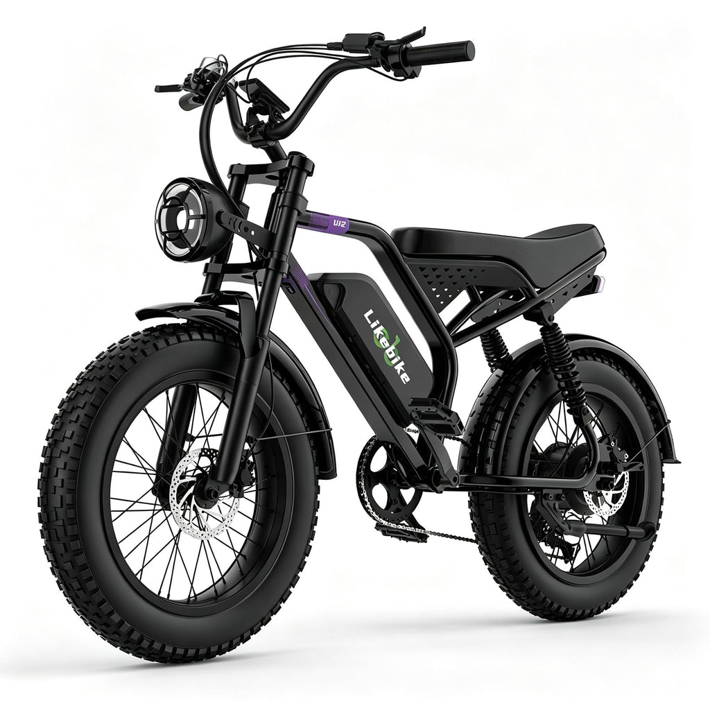 1500W 80 Miles 48V 20AH Electric Bike B190