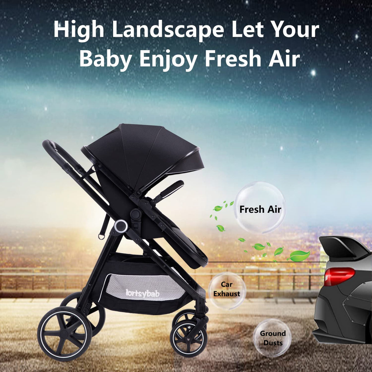 2-in-1 Folding Baby Stroller with Reversible Seat U165