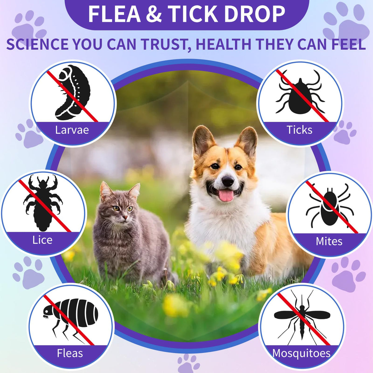 Flea and Tick Support for Dogs and Cats 60ml S3005