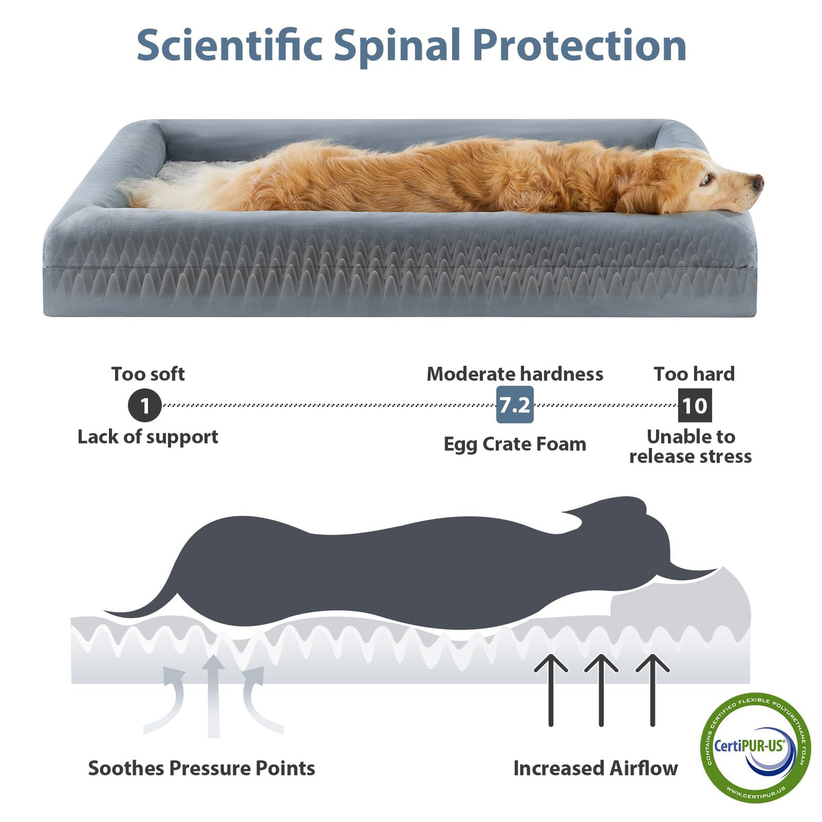 XL Extra Large Orthopedic Dog Bed A171