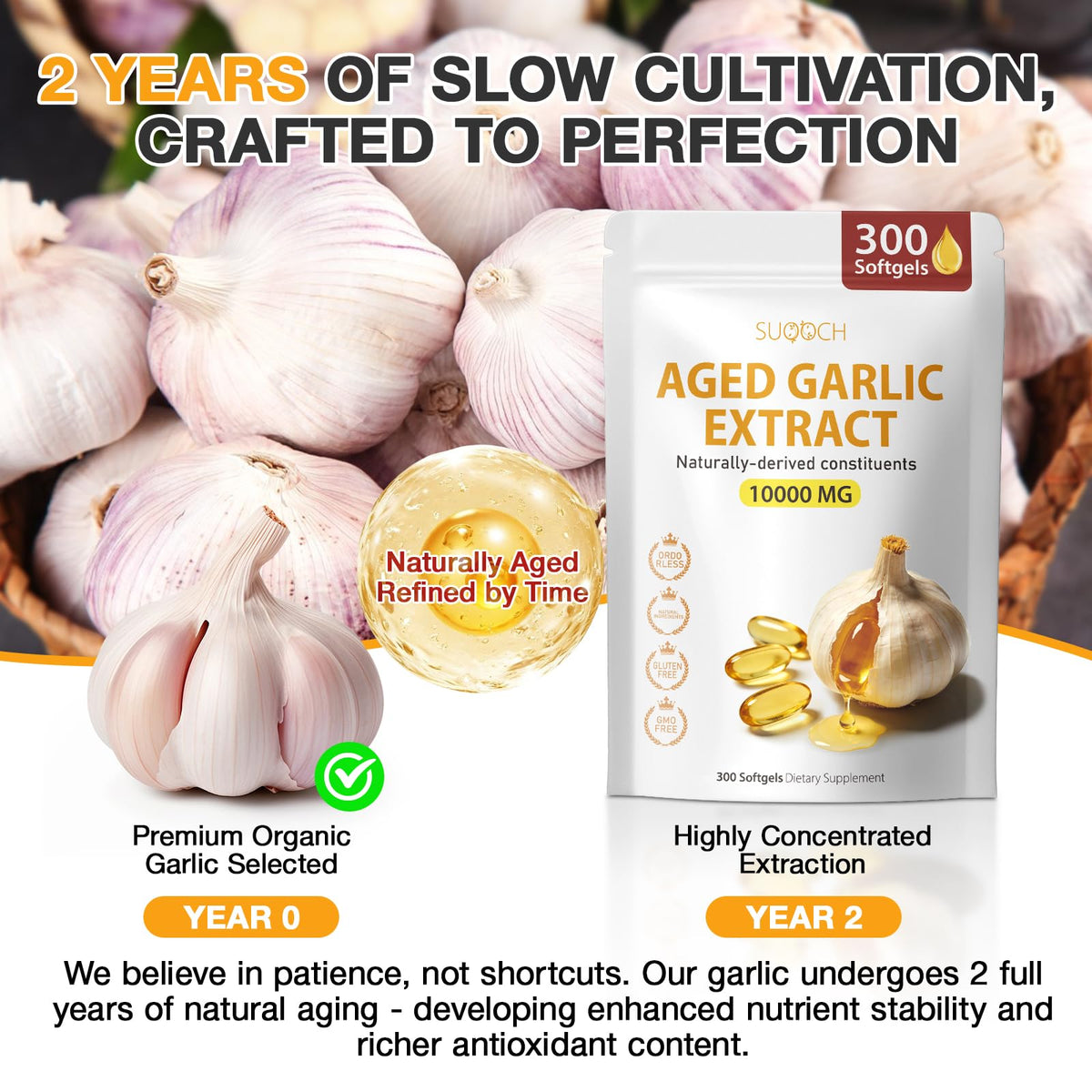 Aged Garlic Extract Softgels N30157