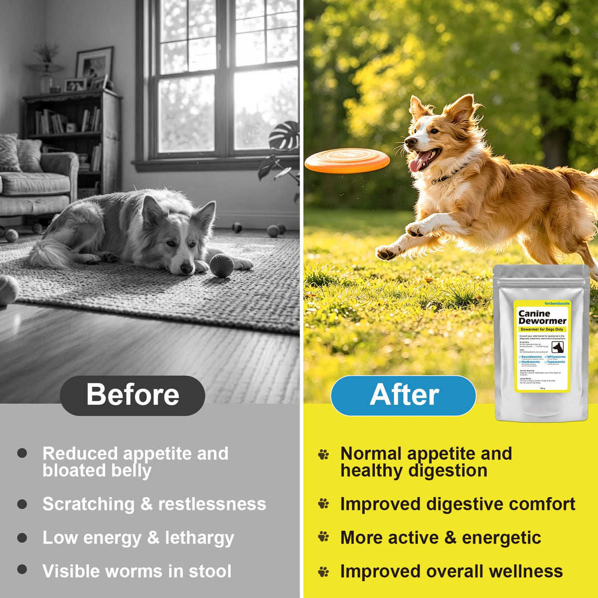 Dewormer for Dogs 100g T262897