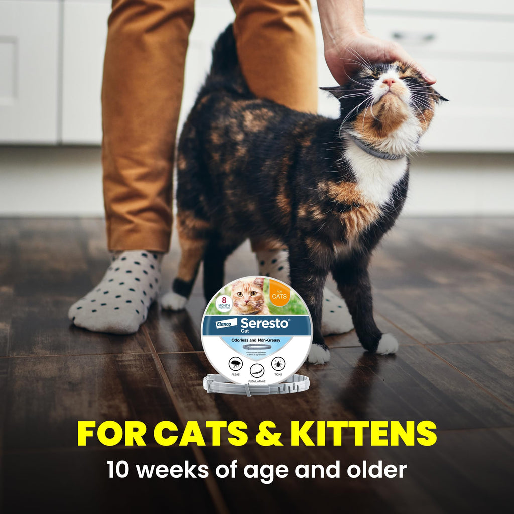 Flea & Tick Treatment & Prevention Collar for Cats Q1748