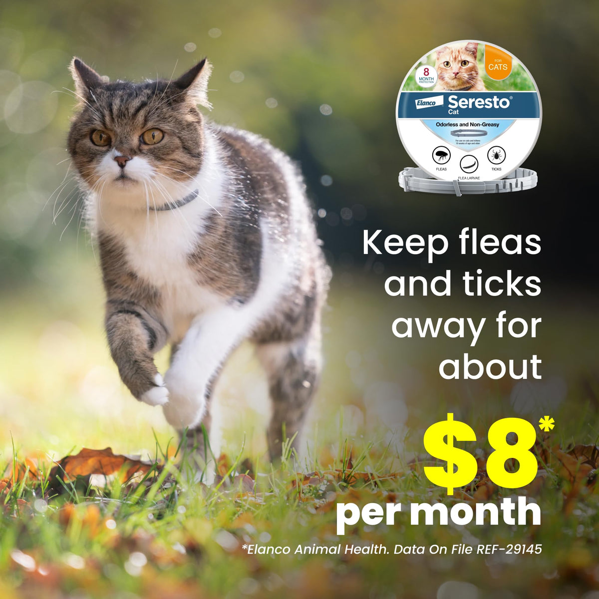 Flea & Tick Treatment & Prevention Collar for Cats Q1748
