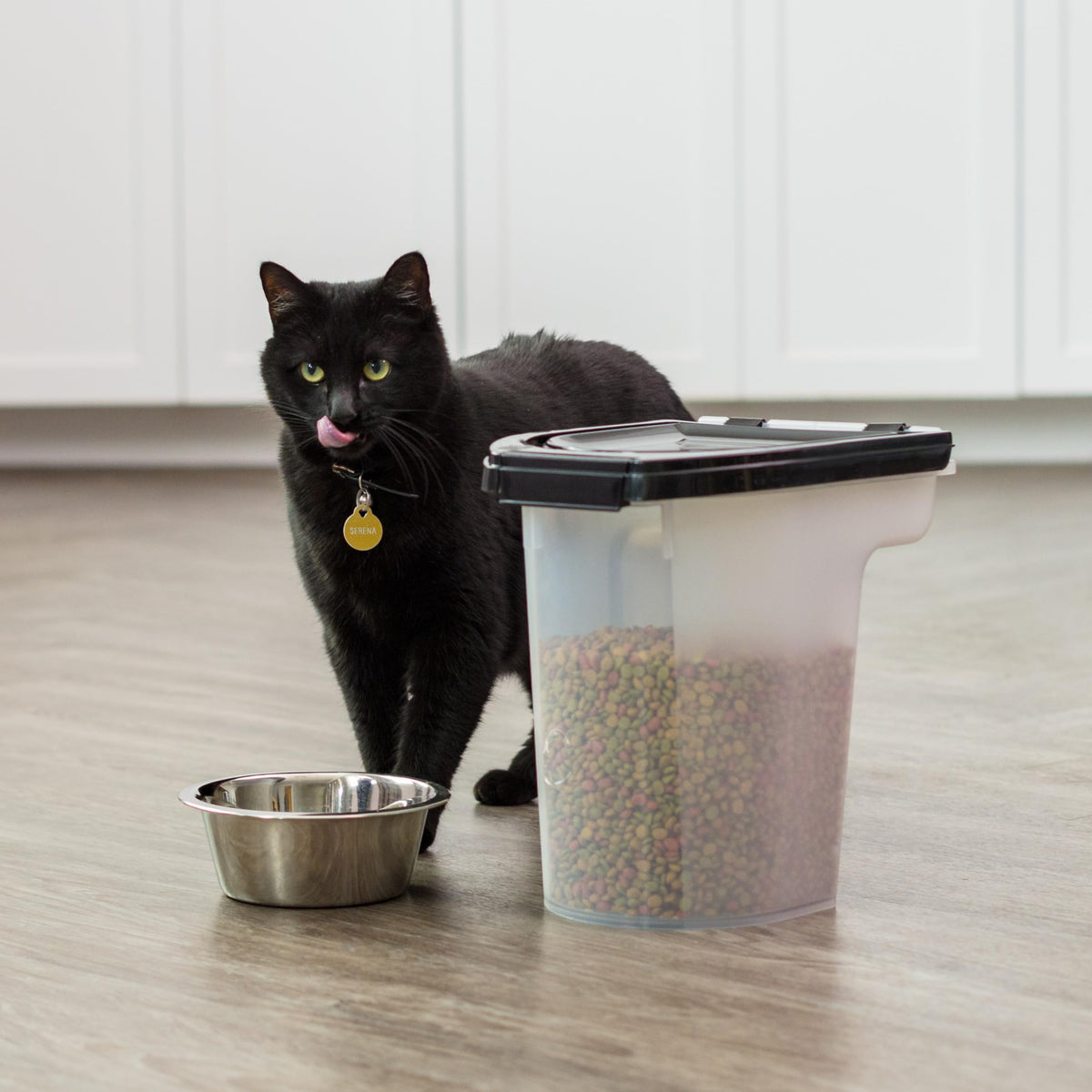 Black Dog Food Storage Container M712