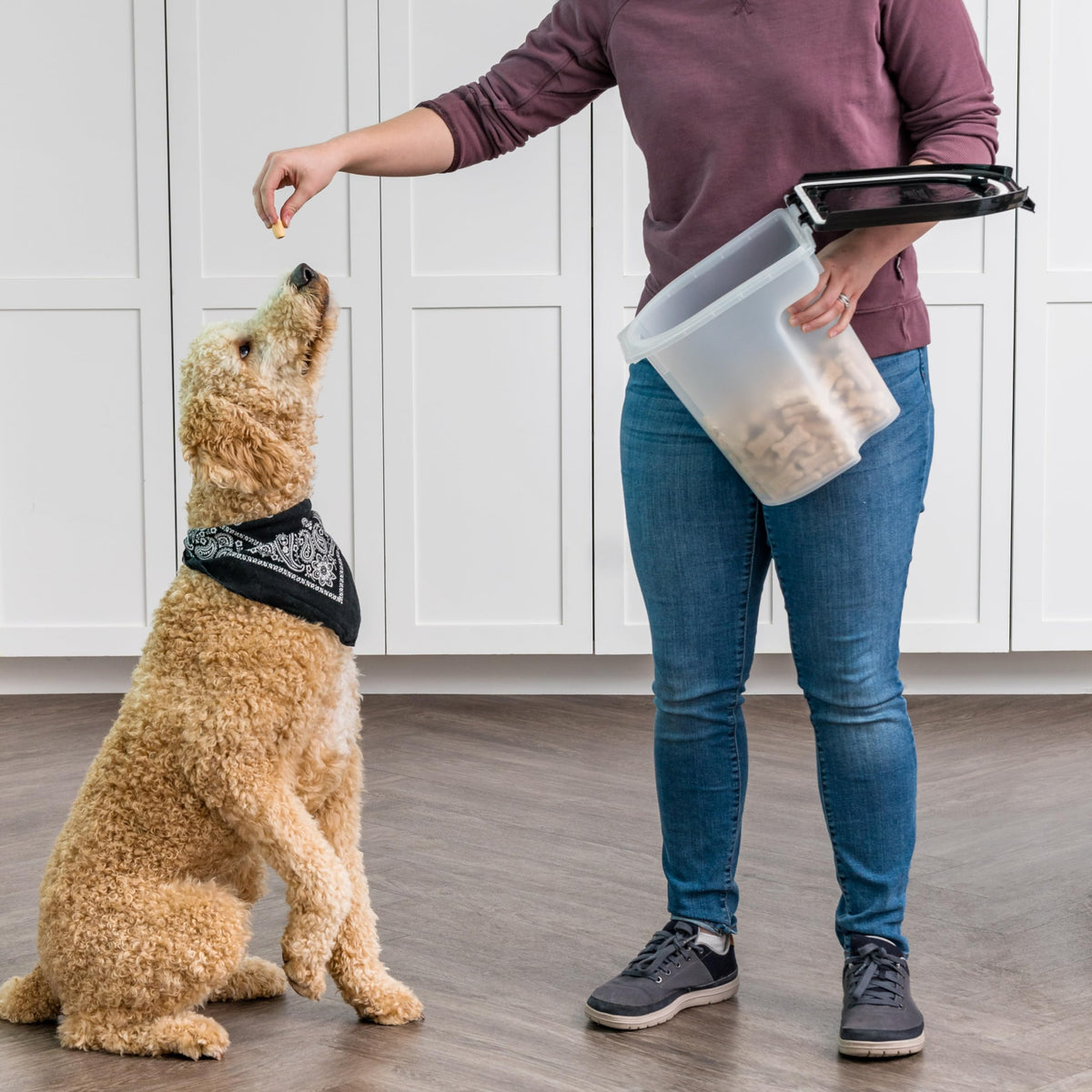 Black Dog Food Storage Container M712
