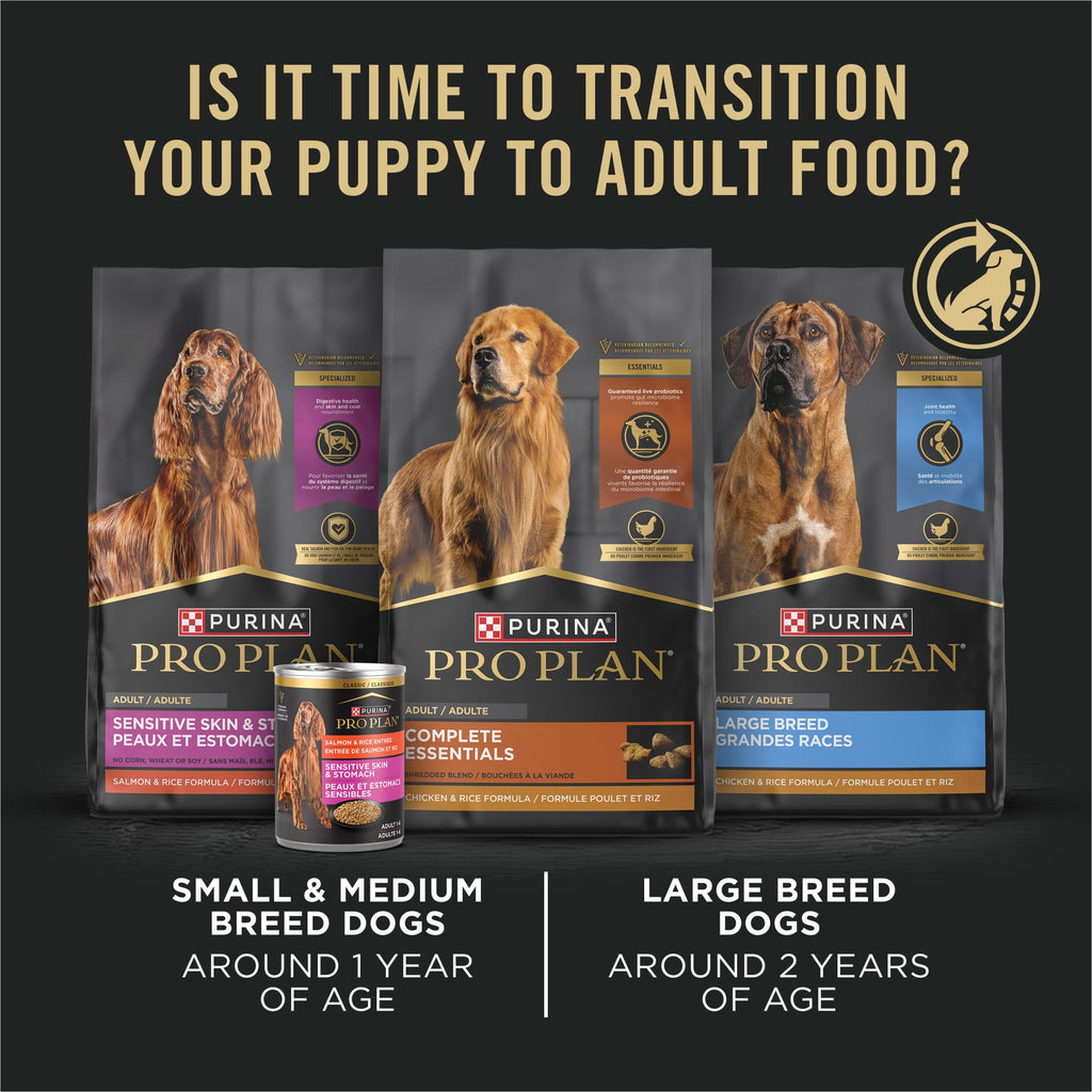 Wet Puppy Food Pate Chicken & Rice 12 Cans T1736