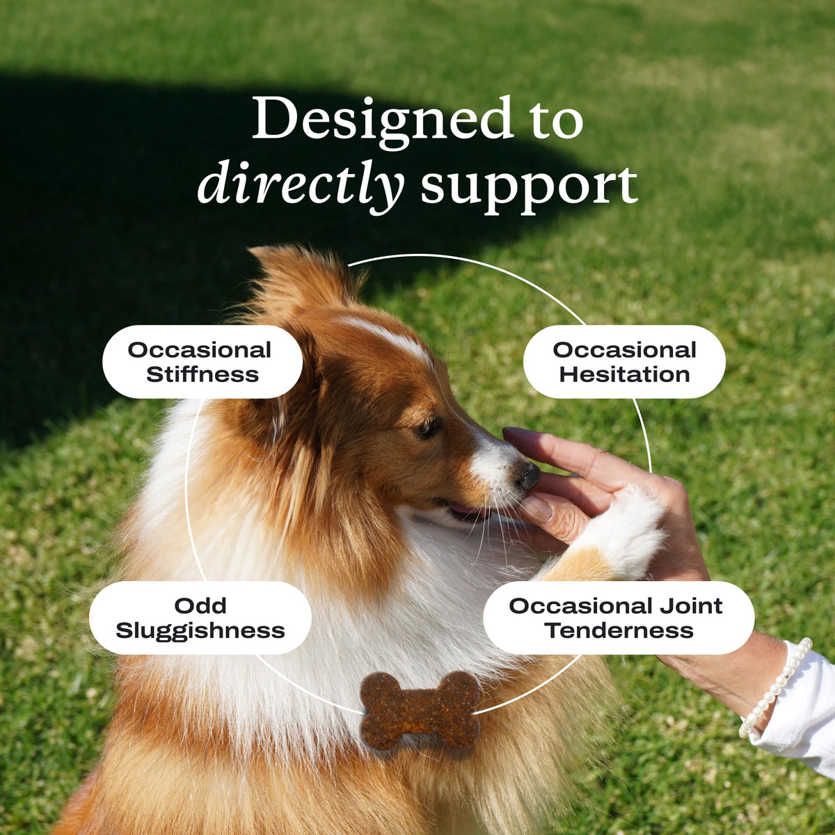 Joint Care Chews for Dogs, 30 Soft Chews, Pork E5347