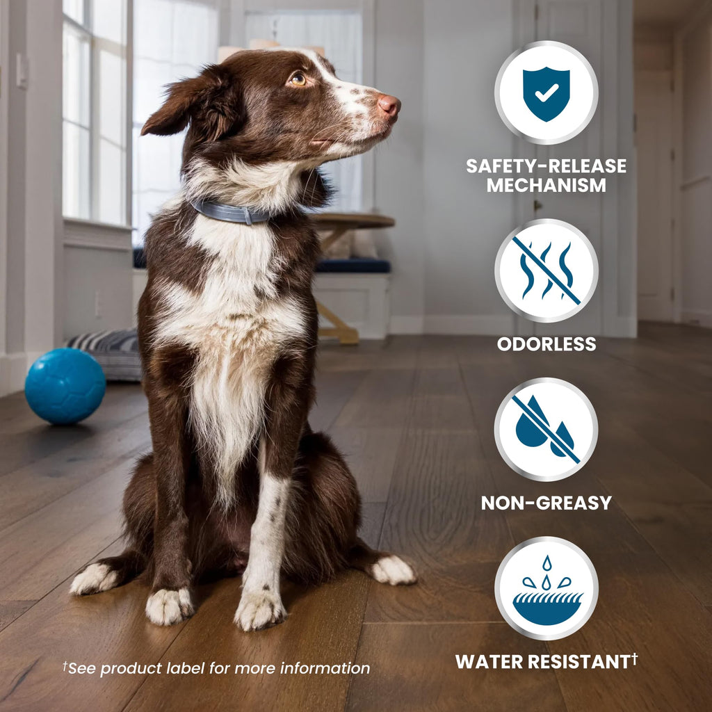 8-Month Flea & Tick Collar for Large Dogs Over 18 lbs O58636