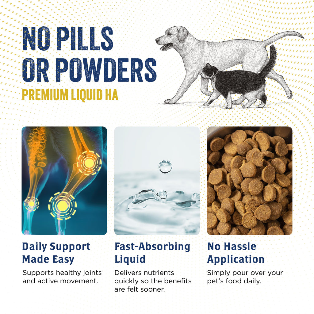 Hyaluronic Acid Hip & Joint Supplement for Dogs & Cats, 16 oz O25469