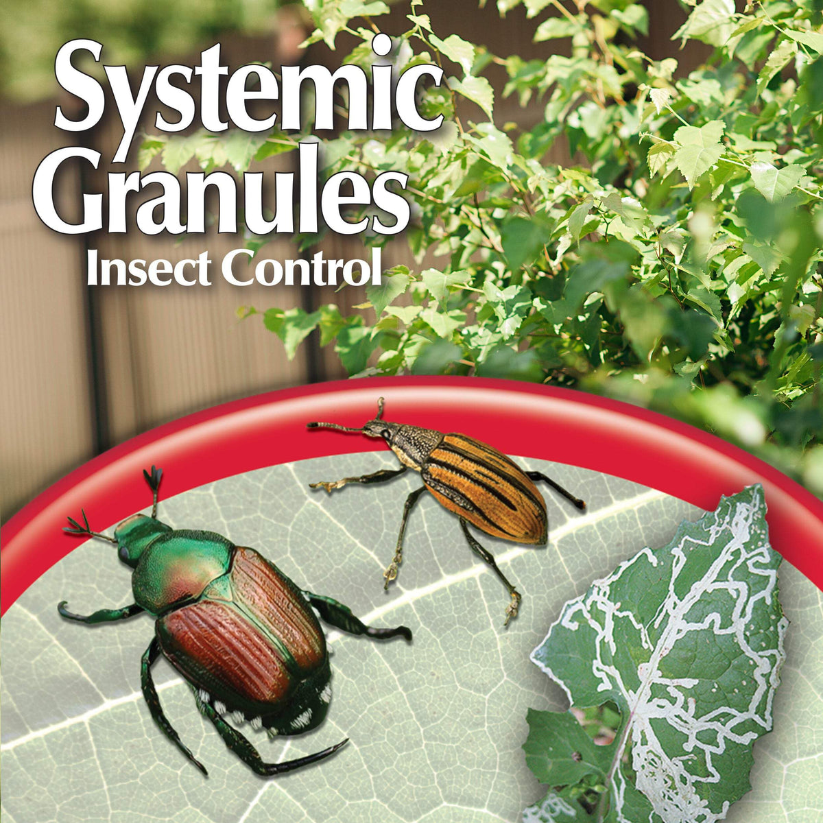 1 lb Insect Killer Granules O763